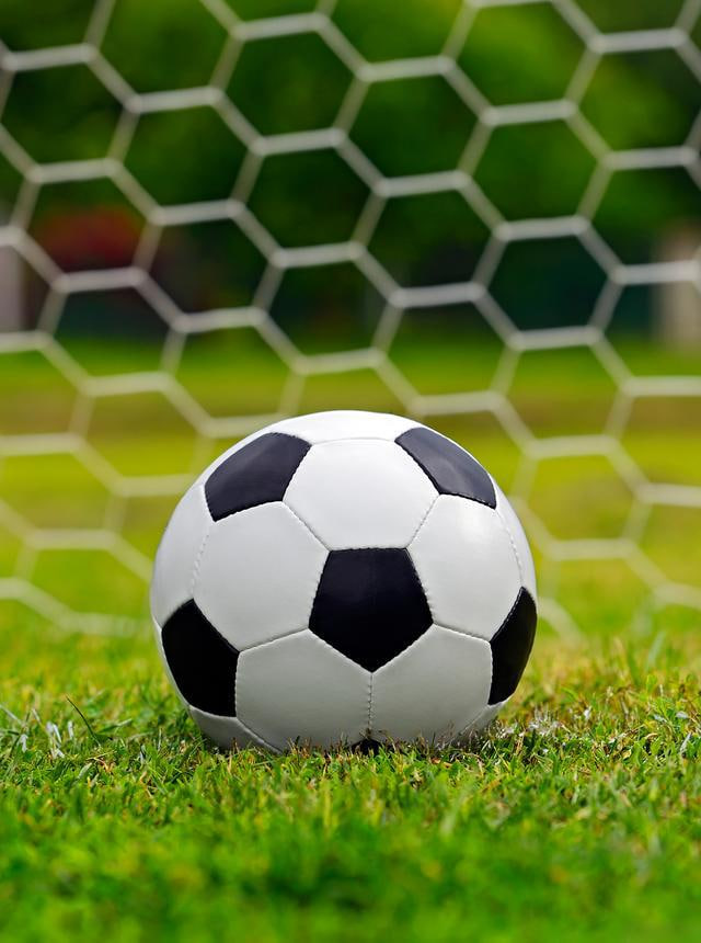 体育媒体工作者获取赛事资讯